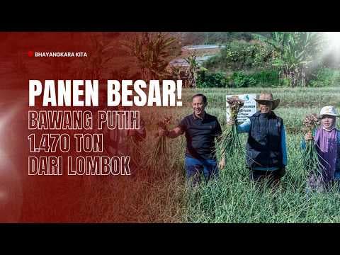 Satgas Pangan Polri Panen 1.470 Ton Bawang Putih, Lombok Timur Dukung Swasembada Pangan