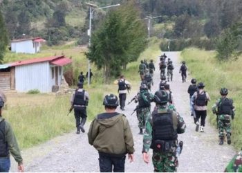 Papua Akan Aman Dan Damai Jika KKB Musnah