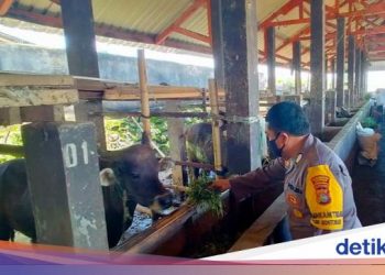 Polsek Lingsar Dukung Kampung Sehat Lewat Inovasi Biogas Kotoran Sapi