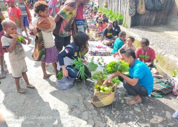 Usai Kejadian Penembakan dan Bangunan Dibakar KKB, Aktivitas Warga Beoga Kembali Normal