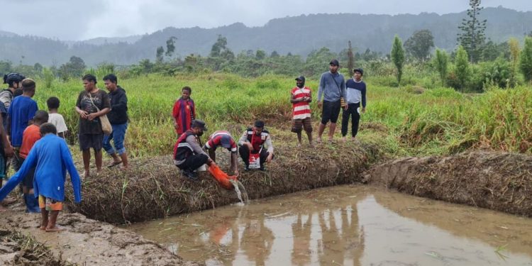 7.000 Ekor Bibit Ikan Mujair Kepada Masyarakat Pegunungan Bintan