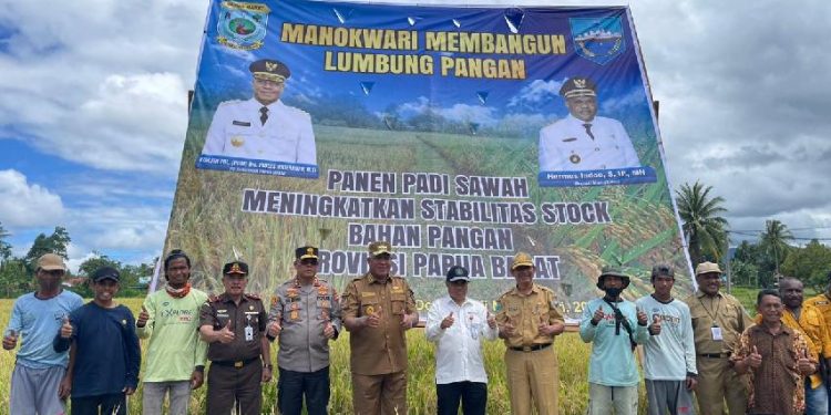 Dukung Ketahanan Pangan! Kapolda Papua Barat Dorong Produksi Padi Lokal Papua Barat