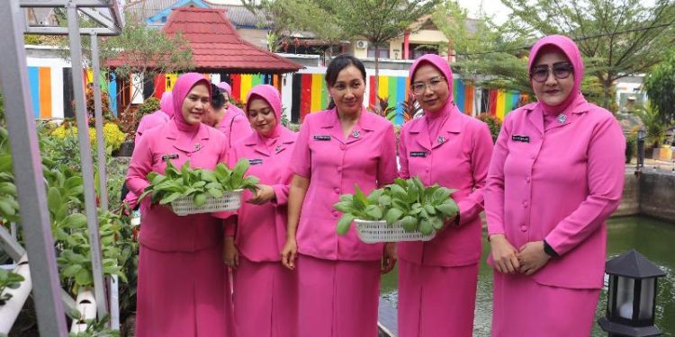 Istri Polisi atau Bhayangkari Daerah Sumatera Selatan kunjungi Taman dan Pekarangan Pangan Lestari (P2L)