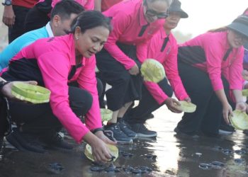 Bhayangkari Polri Lepas Tukik di Pantai Pangkung Tibah Tabanan