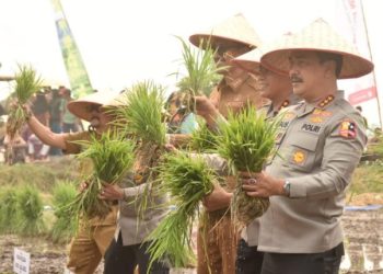Wakapolri Tanam Padi