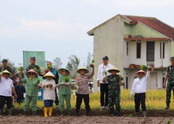 Porles Garut mendukung upaya BBPTP Dinas Pertanian Kabupaten Garut enginisiasi Gerakan Percepatan Tanam Panen