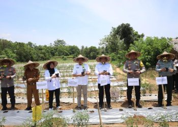 ketahanan pangan nasional Indonesia