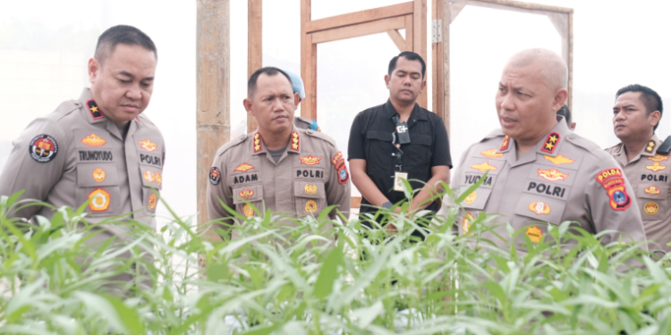 Green House di Banjarbaru
