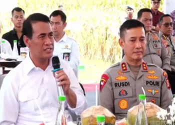 Panen Raya Jagung Kuartal III 2025