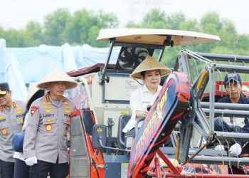Kapolri Listyo Sigit Pimpin Panen Jagung Serentak Dukung Swasembada Pangan 2025